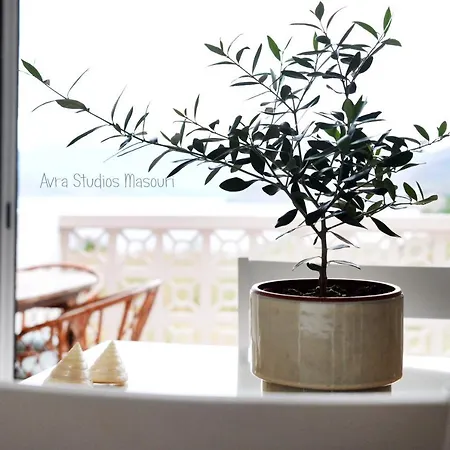 Avra Apartment Masouri